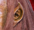 Creature Ears
