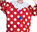 Dotted Clown