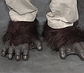 Gorilla Feet