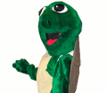 Frog/Turtle