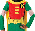 Teen Titans Robin