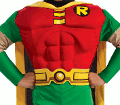 Teen Titans Robin