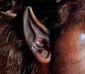 Werewolf Ear Tips